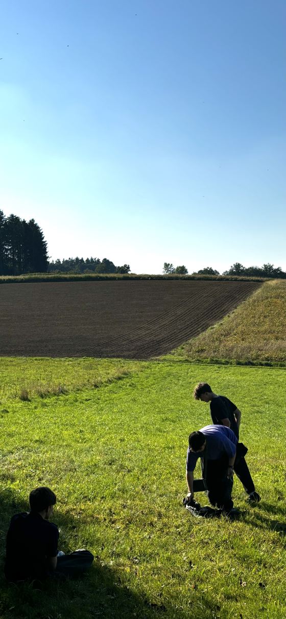Field and meadow on a summer day